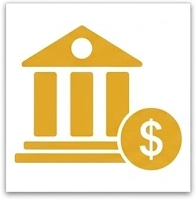 Non-Banking Financial Institution